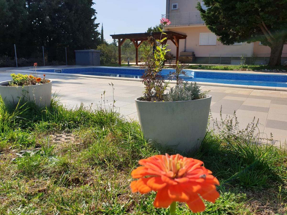 Olive Apartments Ugljan Kültér fotó