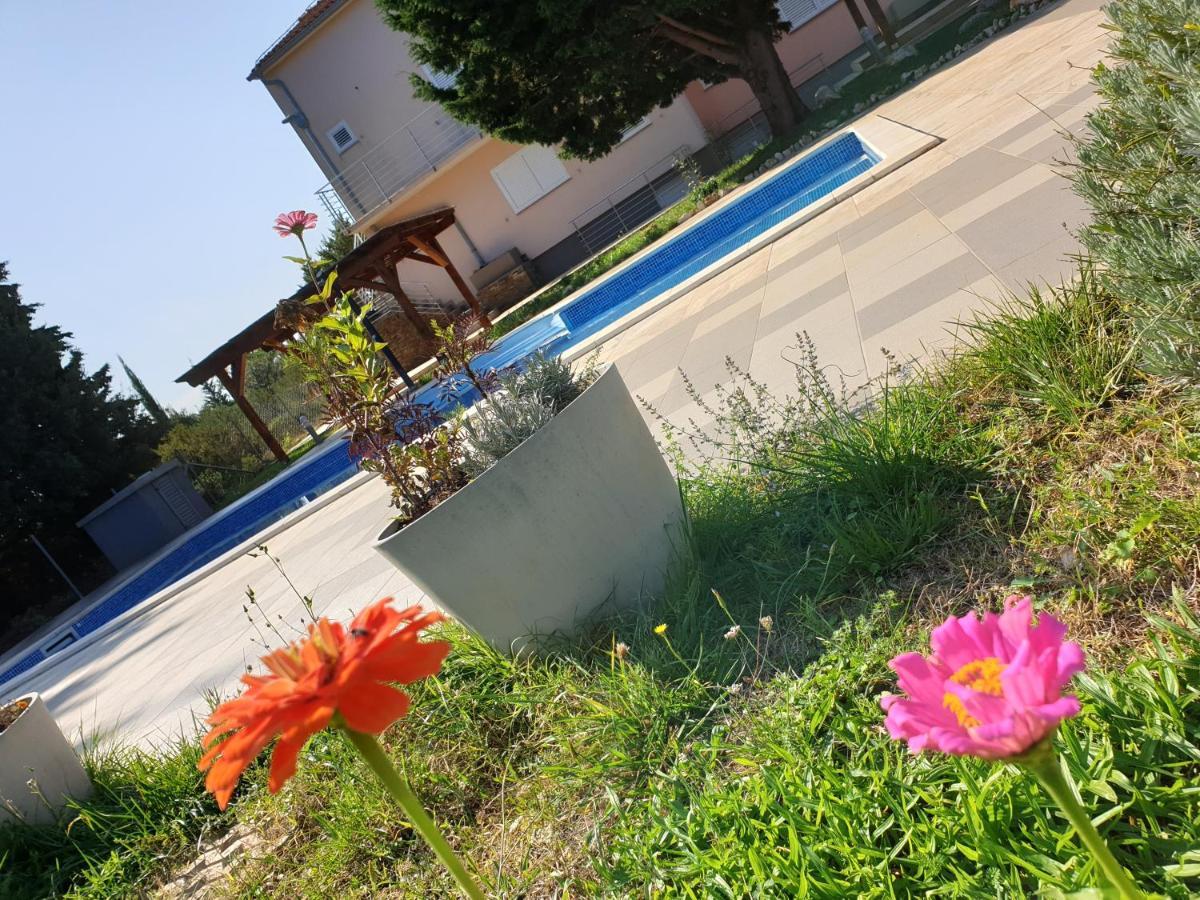 Olive Apartments Ugljan Kültér fotó