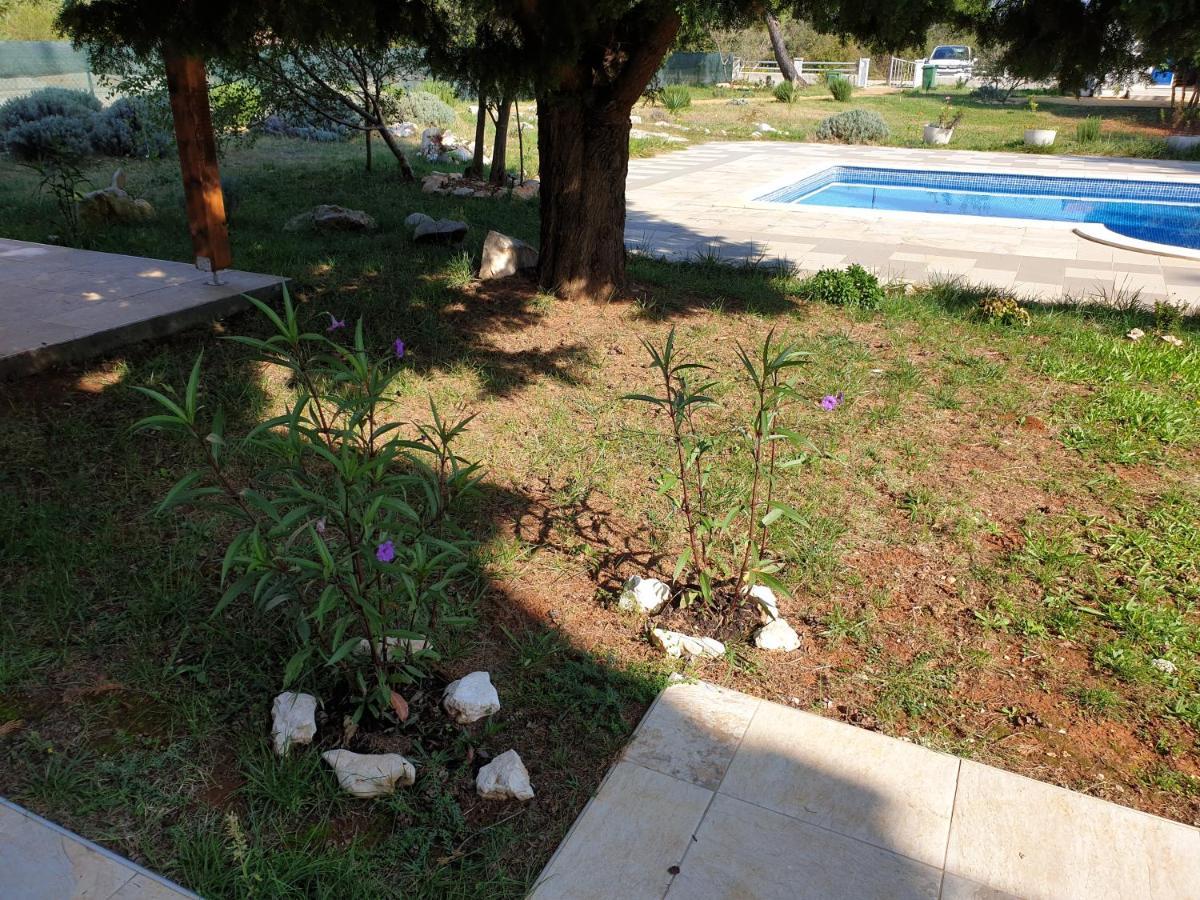 Olive Apartments Ugljan Kültér fotó