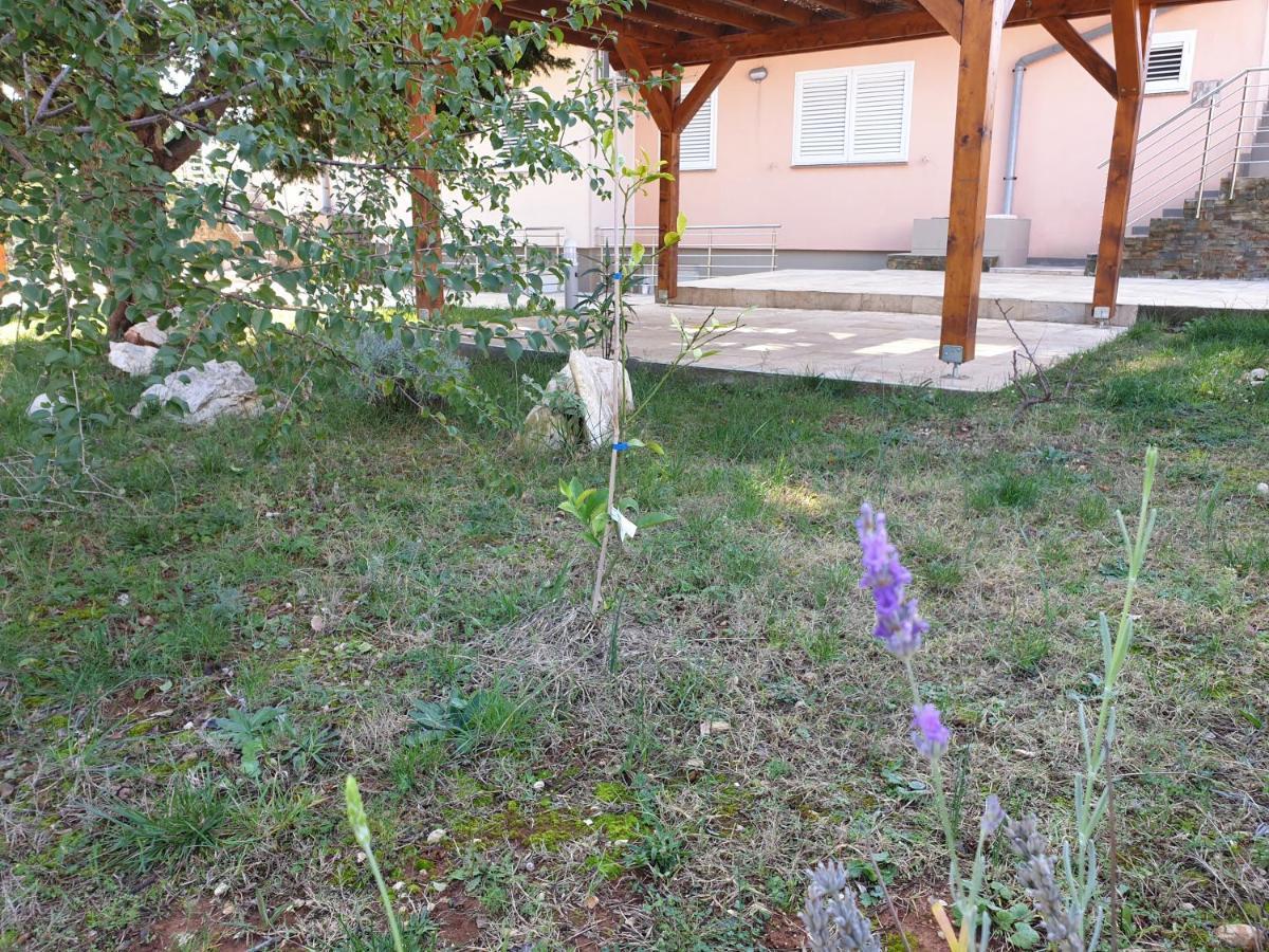 Olive Apartments Ugljan Kültér fotó
